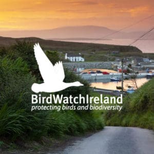 Cape Clear Bird Observatory